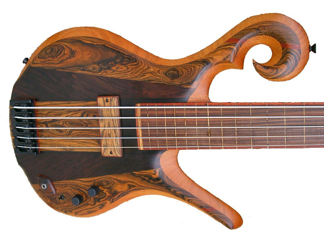 Carl Thompson 5 string fretless 