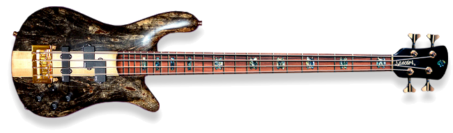 SPECTOR NS-2 (BUCKEYE BURL)