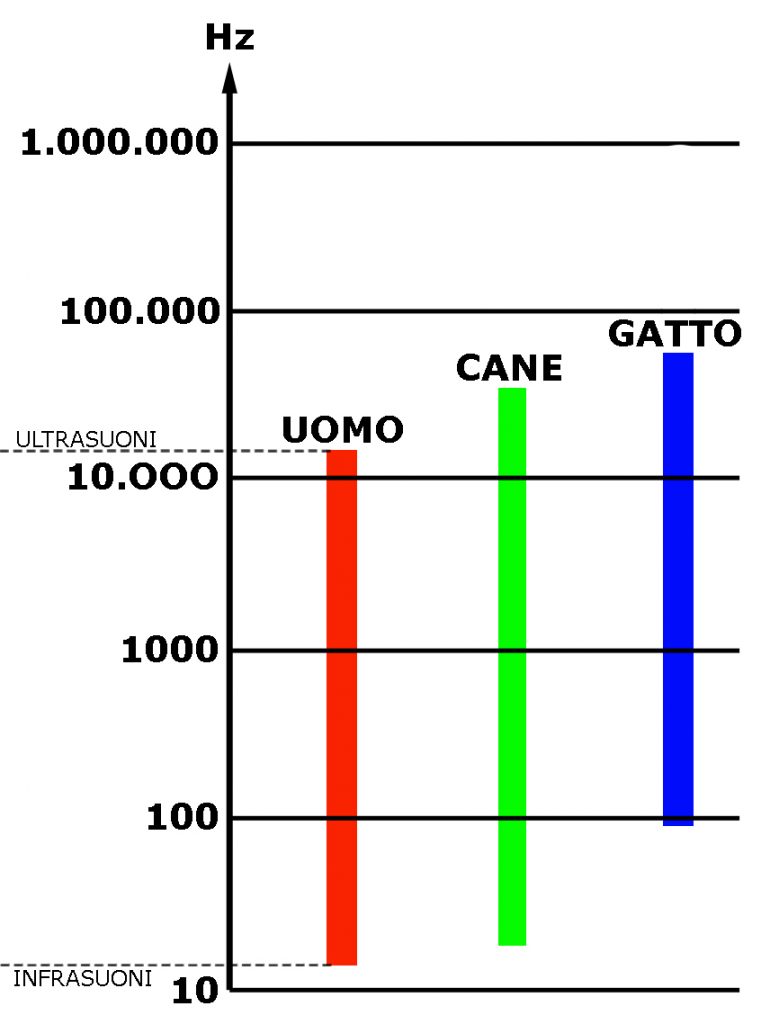 CAMPO DI UDIBILITÀ DELLE FREQUENZE